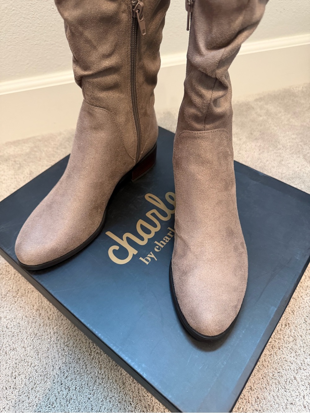 Charles By Charles David Taupe Suede Over-the-Knee Boots